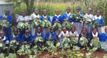 Junior secondary to have own uniform, Principal and BOM